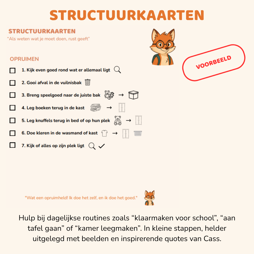 Structuurbundel van Cass: “Als duidelijke stappen houvast geven”