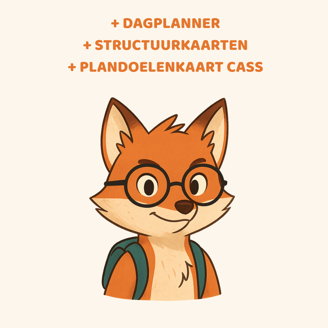 Structuurbundel van Cass: “Als duidelijke stappen houvast geven”